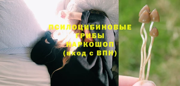 a pvp Бронницы