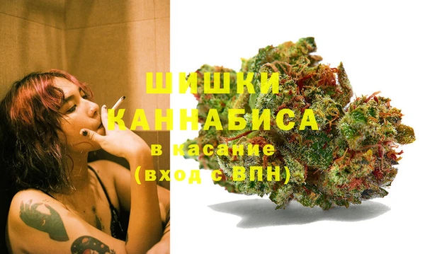 ПСИЛОЦИБИНОВЫЕ ГРИБЫ Богданович