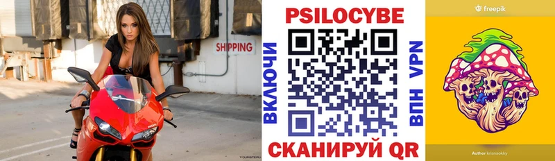 Псилоцибиновые грибы Magic Shrooms  Новороссийск 